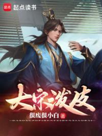 大宋泼皮封面